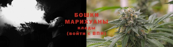 крисы Аркадак