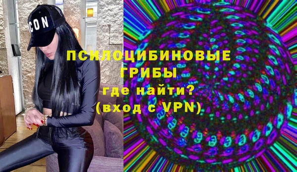ГАЛЛЮЦИНОГЕННЫЕ ГРИБЫ Баксан