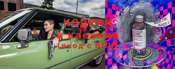 крисы Аркадак