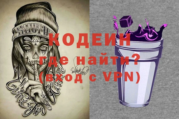 шишки Каменногорск