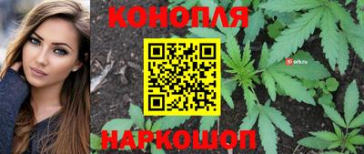 гидропоника Можайск