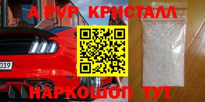 прущие грибы Можга