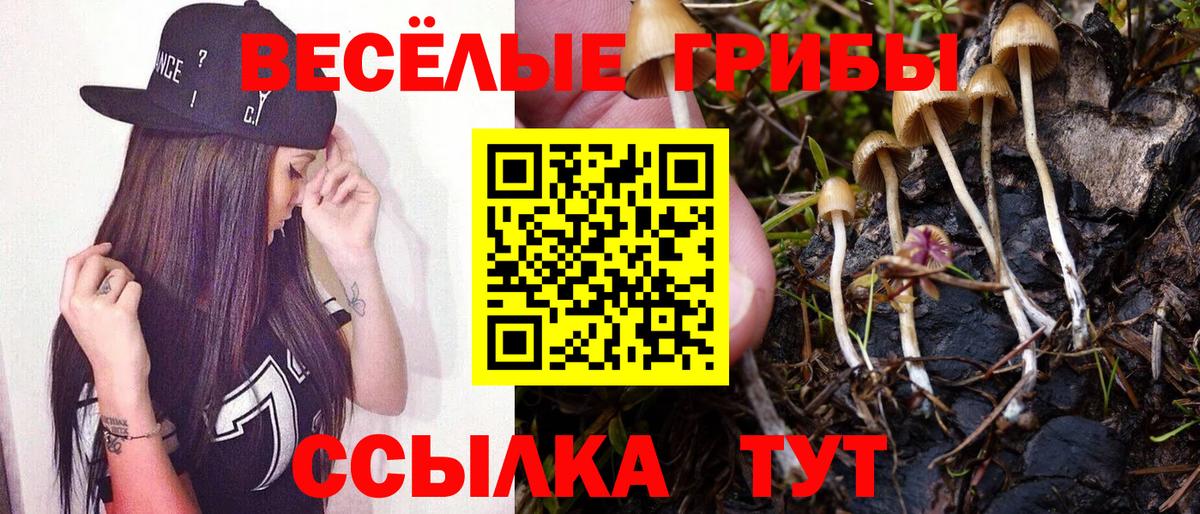 Галлюциногенные грибы Magic Shrooms Полевской