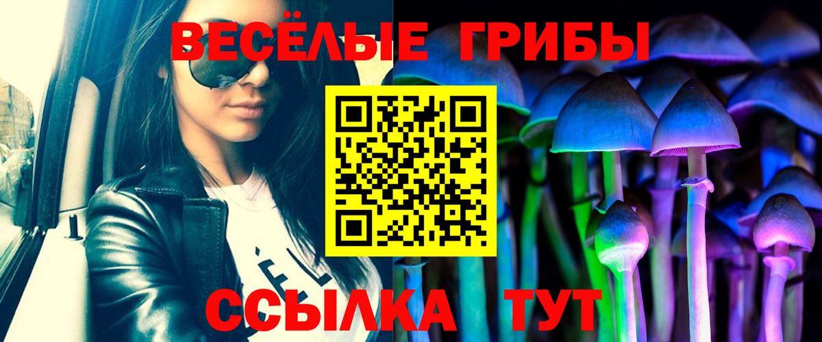 Псилоцибиновые грибы Psilocybe  сколько стоит  Галлюциногенные грибы MAGIC MUSHROOMS  Полевской  Вход с VPN 